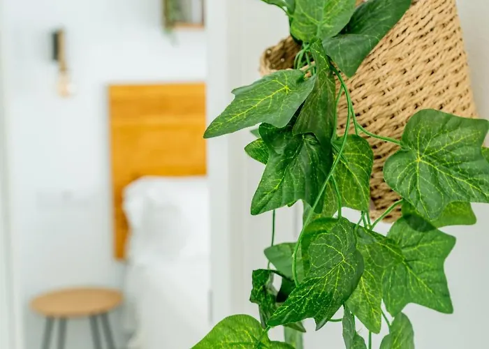 Sea Breeze Piscina Climatizada Vistas Al Mar (adults Only) * Corralejo